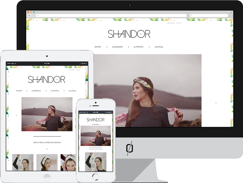 Creation site ecommerce wordpress shandor